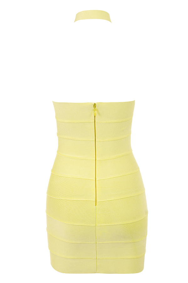 Backless halter miniklänning med smörblommor